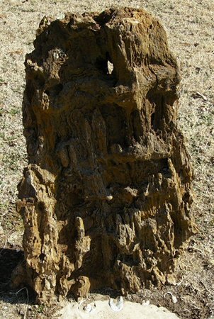 headstone photo